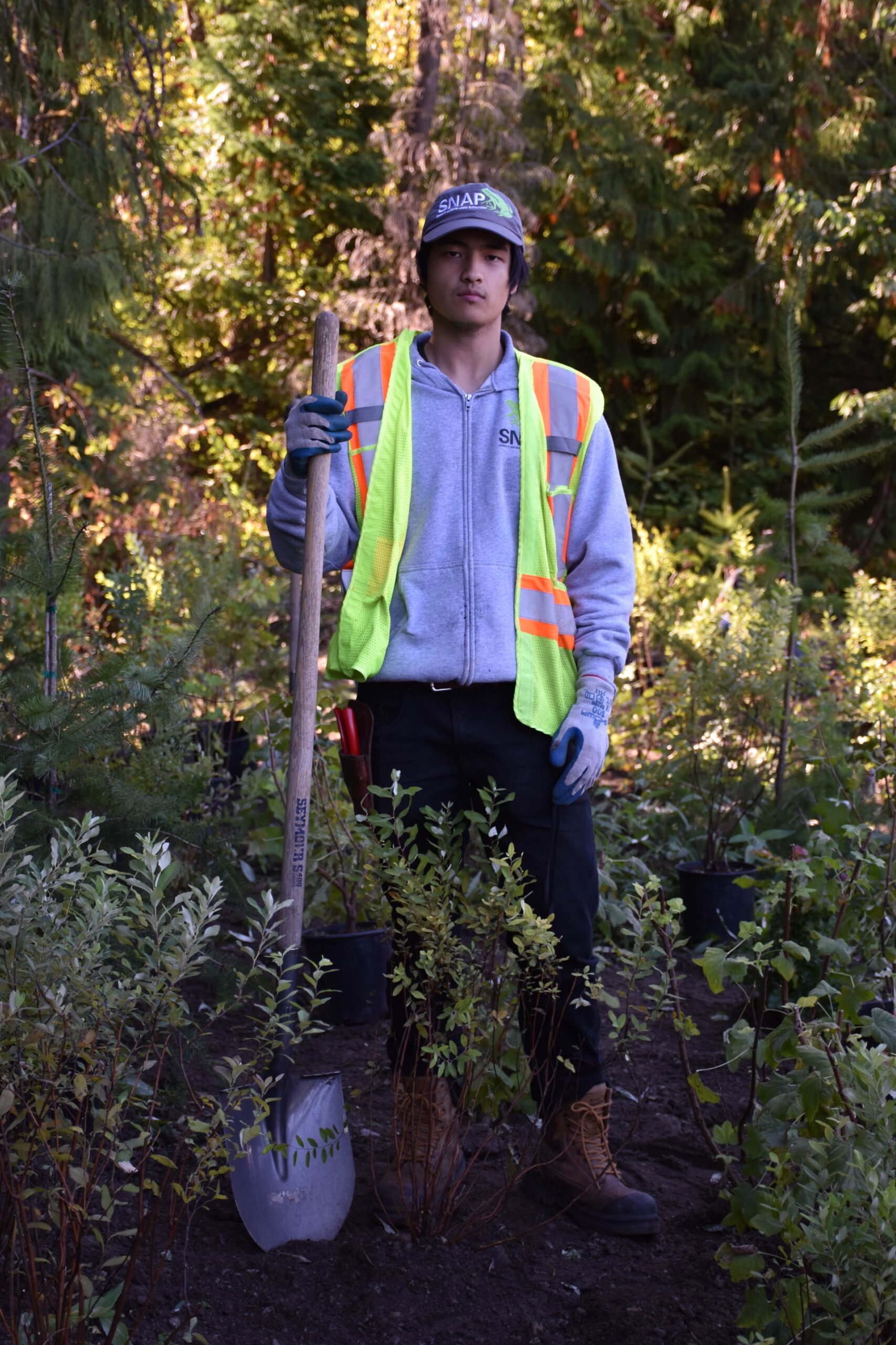 Alerik Wang Urban Forestry UBC Forestry alerik-wang-urban-forestry-ubc-forestry