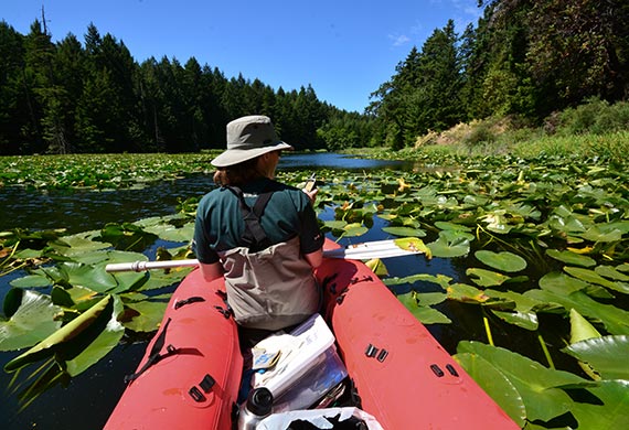 phd requirements ubc