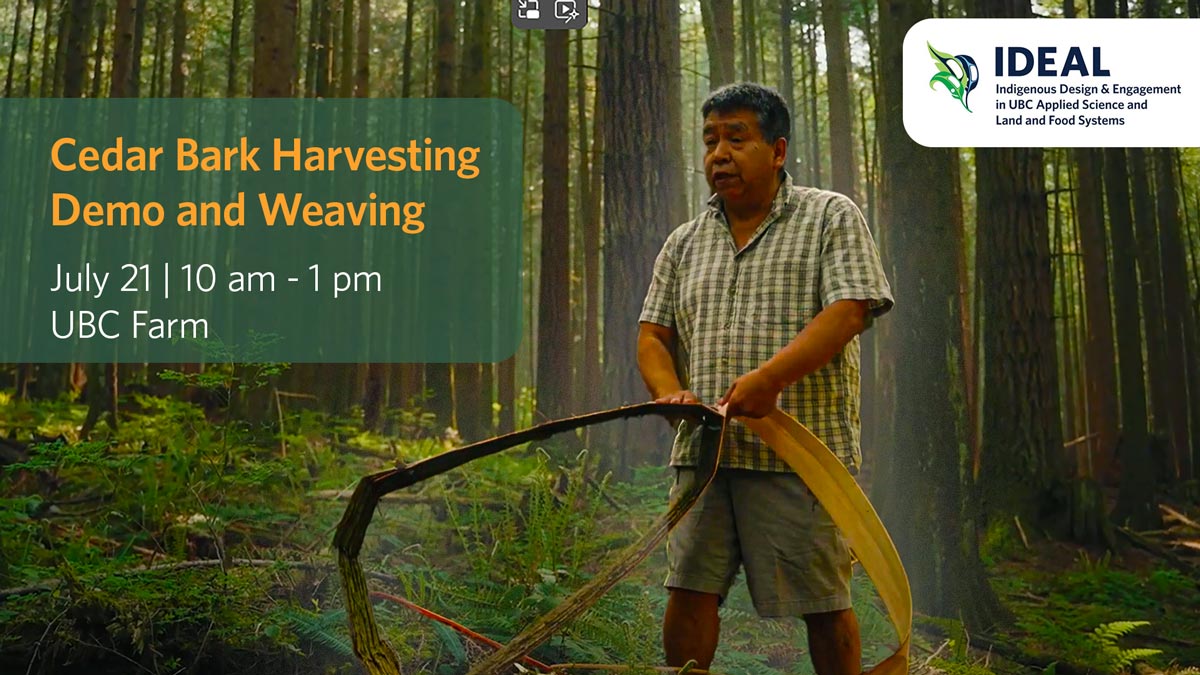 Cedar bark harvesting demo and weaving event with Elder Leonard Williams